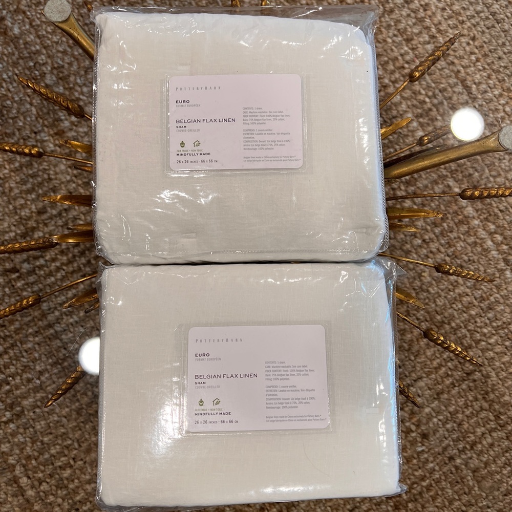 Pottery Barn Euro Sham